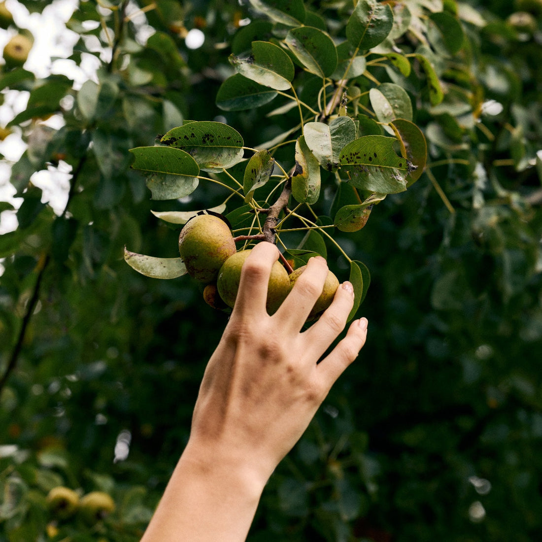 Why Fall Is the Fertility Season You Didn’t Know You Needed.